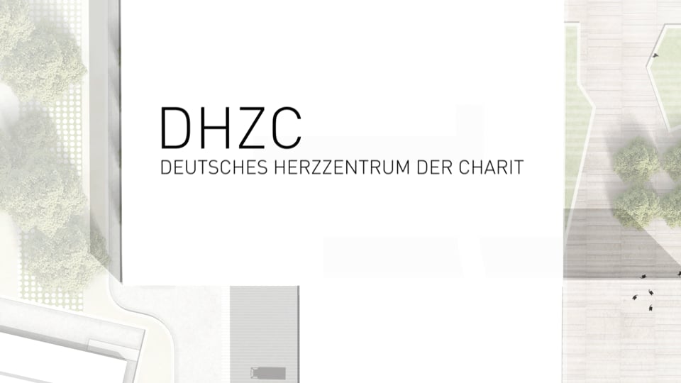 DHZC näher erläutert